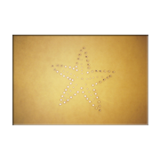 punzone asterina